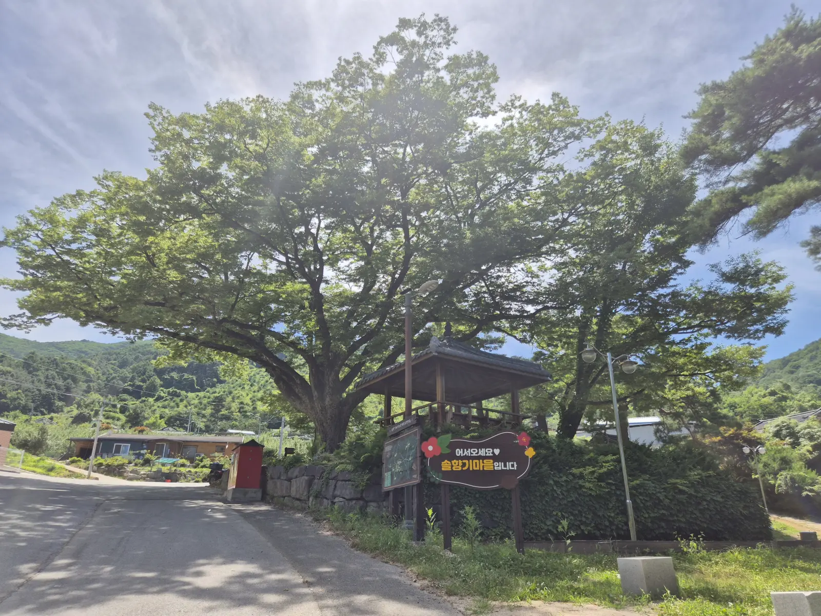 솔향기마을 입구